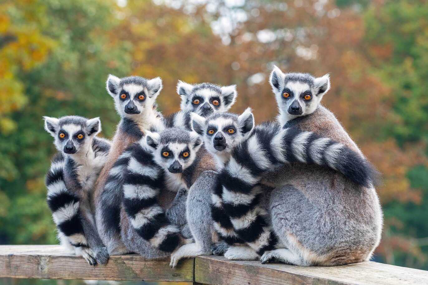 is it safe to travel to madagascar 2023