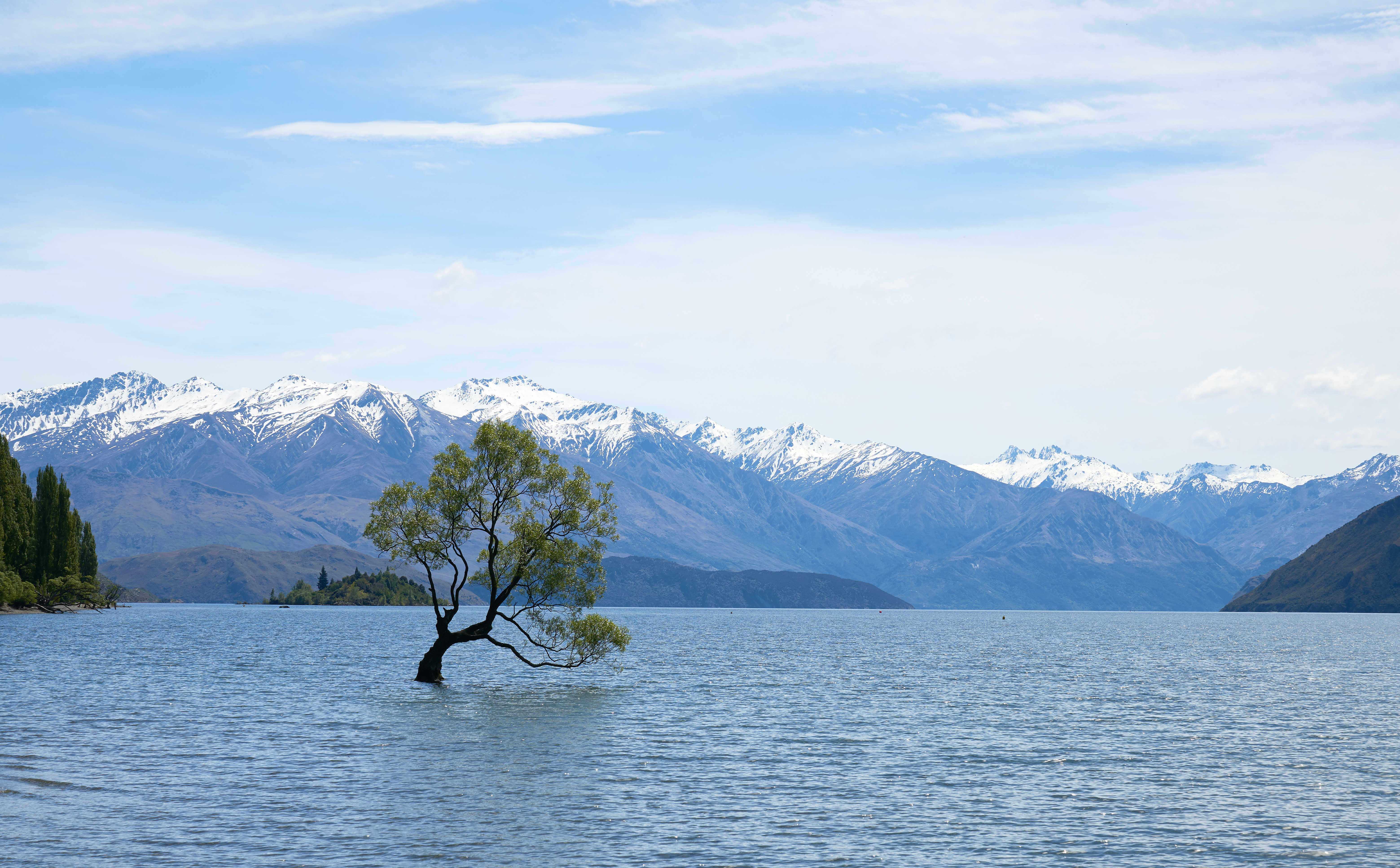 eco tourism in nz